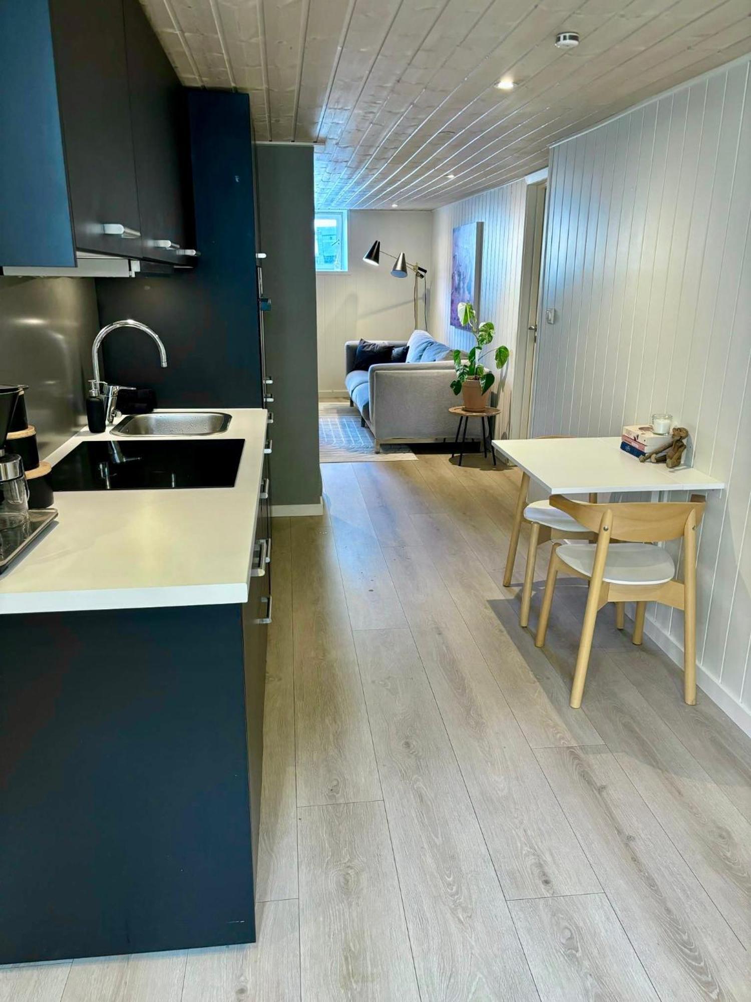 Down Town Apartment With Outside Area In Villa クリスティアンサン エクステリア 写真